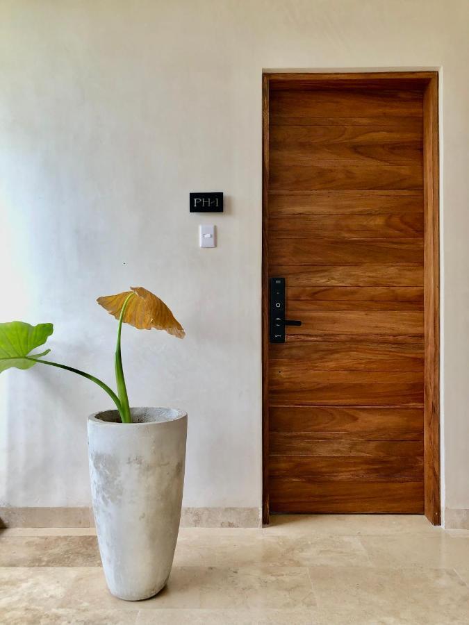 2br Penthouse With Private Pool & Sunset Terrace Aldea Zama *